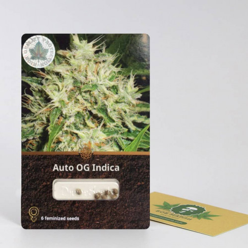 Семена марихуана Auto OG Indica - фото 1