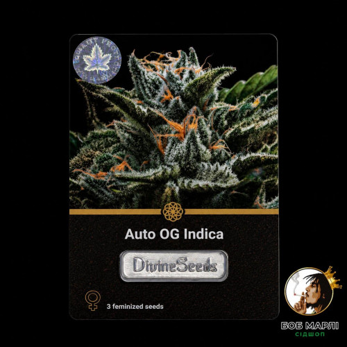 Auto OG Indica