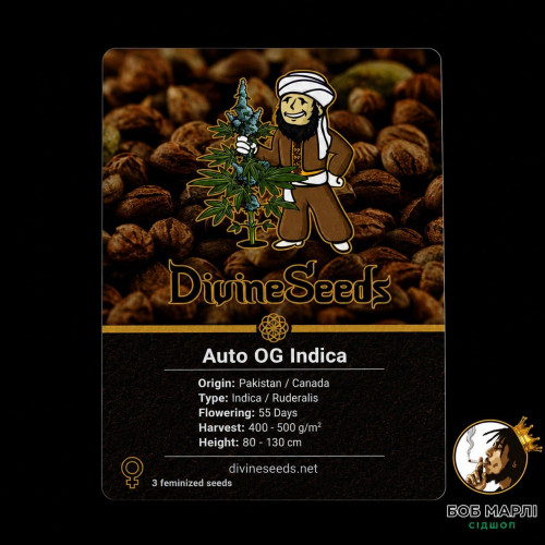 Семена Auto OG Indica - фото 1