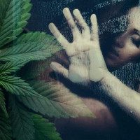 половой акт и марихуана
