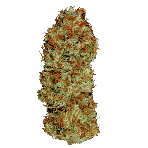 семена марихуаны ак 47