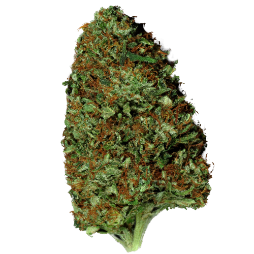 Семена марихуана Divine Indica - фото 1