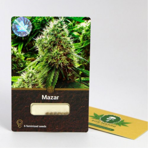 Семена марихуана Mazar