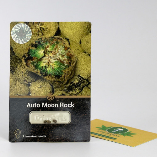 Купить семена Auto Moon Rock