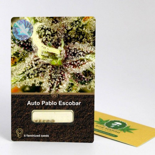 Семена марихуана Auto Pablo Escobar
