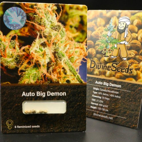 Семена марихуана Auto Big Demon