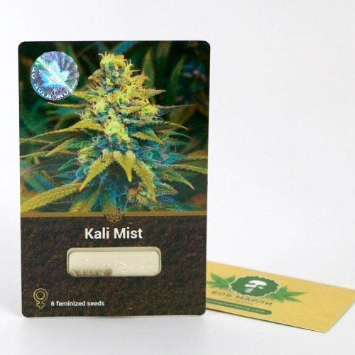 Семена марихуана Kali Mist Divine Seeds