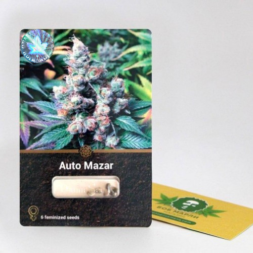 Семена марихуана Auto Mazar