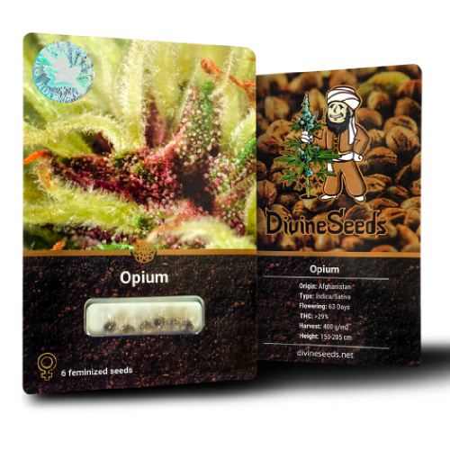 Купить семена Opium