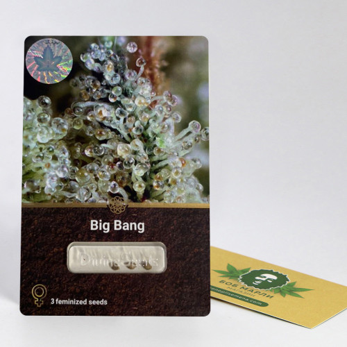 Семена марихуана Big Bang