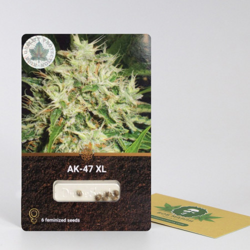 Семена марихуаны в оригинальной упаковке как вывисти марихуану