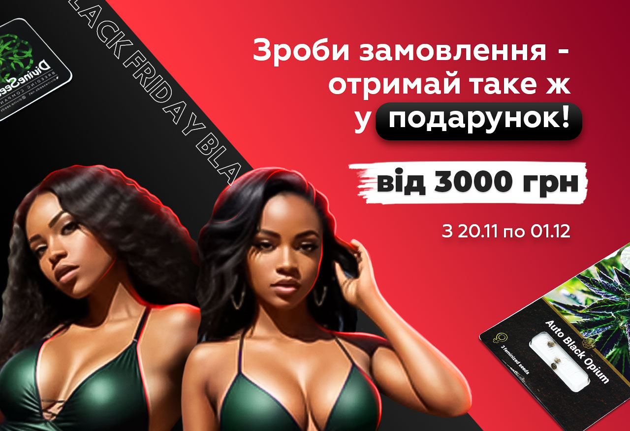 Чорна п'ятниця 2023