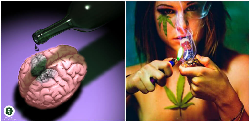 сравнение марихуана алкоголь