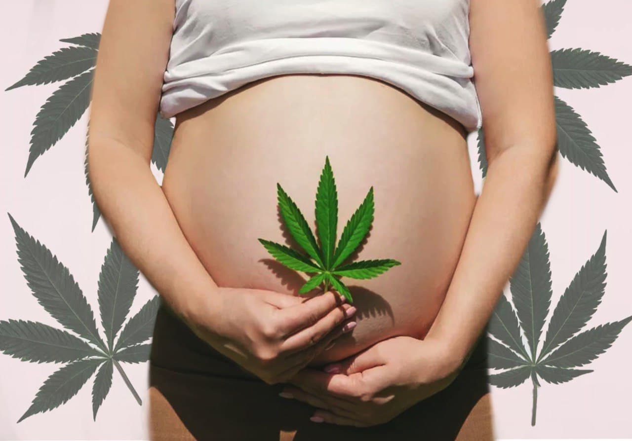 употребление марихуаны перед зачатием